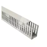Korytko grzebieniowe T1-F 60x100 G (2m)
