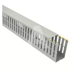 Korytko grzebieniowe T1-N 60x100 G (dł. 2m)