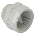 Adapter poliamidowy PG21/PG29