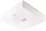 Oprawa sieciowo-awaryjna natynkowa STARLET QUAD SOH 250 M 1H MT IP20 / soczewka otwarta do pomieszczeń wysokich / 92852 230V