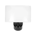 TOS LED 30W naświetlacz ogrodowy LED, 2200lm, IP65, 4000K, PC, czarny