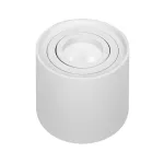 CAROLIN DLR GU10 downlight max 35W, IP20, okrągły, biały