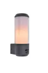 HEROS Wall with sensor Architectural Modern Diffuse Light RETROFIT Dark Grey