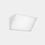 Wall fixture IP65 Curie Glass 260mm E27 15 White 05-9884-14-G5