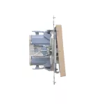 SIMON 55 WMDL-0P1xx5-144 Łącznik dwubiegunowy z podświetleniem LED (moduł) 10 AX, 250 V~, szybkozłącza; Szampański mat