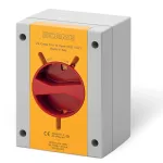Wyłącznik 2P 32A IP65 emergency