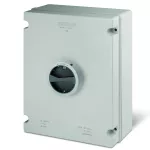 Wyłącznik 3P+N 125A IP65 standard