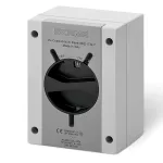 Wyłącznik 2P 32A IP65 standard