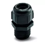Dławnica czarna M12x0,5
