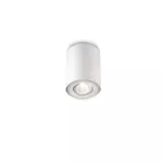 PILLAR single spot white 1x50W 230V Oświetlenie punktowe
