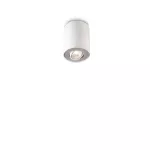 PILLAR single spot white 1x50W 230V Oświetlenie punktowe