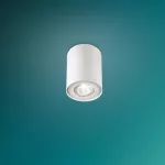 PILLAR single spot white 1x50W 230V Oświetlenie punktowe