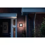 Petronia 4000K wall lantern anthracite 1 myGarden Kinkiet
