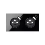 SIMON 100 W100-10020229x-138 Panel 2-krotny: 2 gniazda z 2 zintegrowanymi ładowarkami USB SmartCharge 2,1 A; czarny