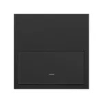 SIMON 100 W100-10020101x-238 Panel 1-krotny: 1 klawisz; czarny mat