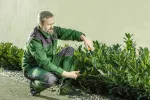RUWER ogrodniczki ochronne ciemnozielone S (48)