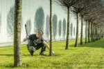 URFT polo bawełniane ciemnozielone L (52)