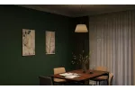 OPRAWA SUFITOWA KASEL , 6281, AC220-240V, 50/60Hz, 1*E27, max.40W, śr. 40 cm, KREMOWA