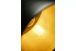 OPRAWA SUFITOWA GOA, 3512, AC220-240V, 50/60Hz, 1*E27, IP20, ŚR. 32 cm, POJEDYNCZA, CZARNO/ZŁOTA