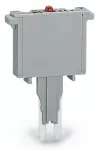 Wtyk bezpiecznikowy z wlutowanym bezpiecznikiem miniaturowym ze wskaźnikiem świetlnym, szary 280-850/281-413