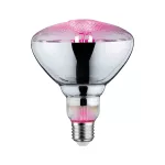 PAULMANN Źródło światła prowzrostowe LED Plant PAR38 E27 6,5W 1300K 200lm 230V srebrny / szkło