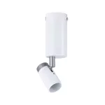 PAULMANN Oprawa ścienno-sufitowa RUNA GU10 max.1x20W 230V biały / szary / metal