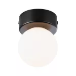 PAULMANN Lampa sufitowa łazienkowa GOVE LED G9 max.20W IP44 230V czarny matowy / metal