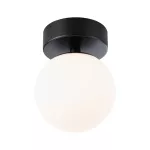 PAULMANN Lampa sufitowa łazienkowa GOVE LED 5W 400lm 3000K IP44 230V czarny matowy / metal / szkło