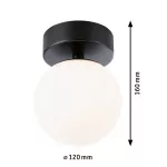 PAULMANN Lampa sufitowa łazienkowa GOVE LED 5W 400lm 3000K IP44 230V czarny matowy / metal / szkło