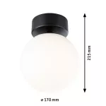 PAULMANN Lampa sufitowa łazienkowa GOVE LED 9W 900lm 3000K IP44 230V czarny matowy / metal