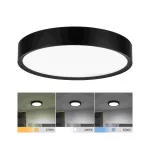 PAULMANN Lampa sufitowa TEGA LED 22.5W 1200lm 3000/4000/6500K IP44 230V czarny matowy / tworzywo sztuczne