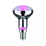 PAULMANN Źródło światła prowzrostowe LED Plant R50 E14 4W 1300K 100lm 230V srebrny / szkło
