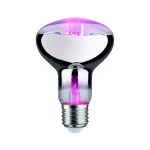 PAULMANN Źródło światła prowzrostowe LED Plant R80 E27 6,5W 1300K 200lm 230V srebrny / szkło
