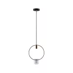 PAULMANN Lampa wisząca z doniczką NEORDIC TASJA E27 max.1x20W 230V czarny / miedziany / metal