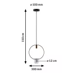 PAULMANN Lampa wisząca z doniczką NEORDIC TASJA E27 max.1x20W 230V czarny / miedziany / metal