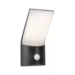 PAULMANN Oprawa elewacyjna ADYA LED IP44 10W 750lm 3000K 230V Ciemny szary/ aluminium