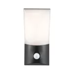 PAULMANN Oprawa elewacyjna ADYA LED IP44 10W 750lm 3000K 230V Ciemny szary/ aluminium