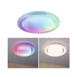 PAULMANN Panel Rainbow Dynamic 38,5W RGB Zmienna Biel Biały/chrom