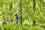 60 V piła na wysięgniku Greenworks GD60PS25