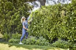 24 V nożyce do żywopłotu na wysięgniku Greenworks G24PH51