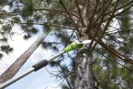 40 V pilarka na wysięgniku Greenworks G40PSF