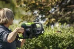 60 V nożyce do żywopłotu Greenworks GD60HT66