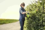 60 V nożyce do żywopłotu Greenworks GD60HT66