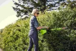 60 V nożyce do żywopłotu Greenworks GD60HT66