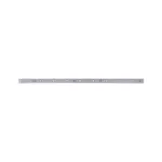 PAULMANN MaxLED 250 Strip 1m ciepły Biały IP44 2700K 4W 230/24V Srebrny