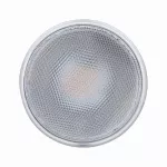 PAULMANN Źródło światła LED PAR38 13.8W DIM 1000lm E27 230V szkło