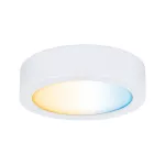 PAULMANN Clever Connect Spotl Disc 1x2,1W 2700- 6500K regulacja temperatury 12V Biały Mat/Tworzywo sztuczne