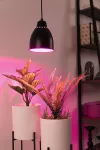 PAULMANN Neordic Hilla lampa wisząca max. 1x40W E27 czarny 230V metal
