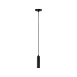 PAULMANN Neordic Kine Lampa wisząca max. 1x20W E27 230V Czarny Metal