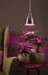 PAULMANN Neordic Hilla lampa wisząca max. 1x40W E27 żelazo szczotkowane 230V metal